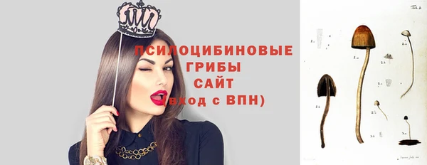 соль курить ск Алзамай