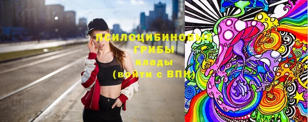 бошки Алексеевка