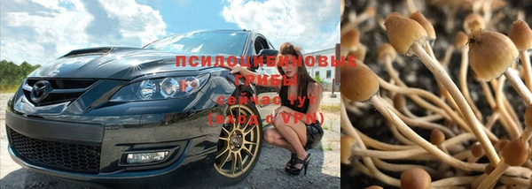 соль курить ск Алзамай