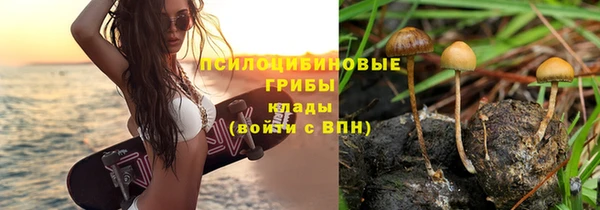 соль ск Пересвет