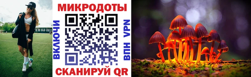 как найти закладки  мориарти состав  Псилоцибиновые грибы мухоморы  Новая Ладога 