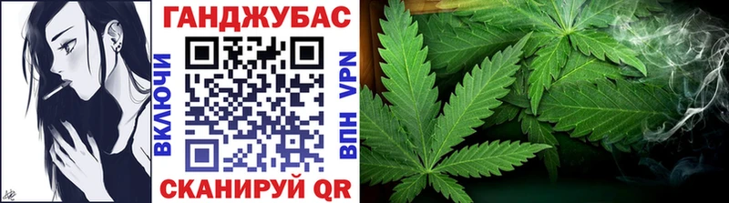 omg tor  Новая Ладога  Конопля конопля 